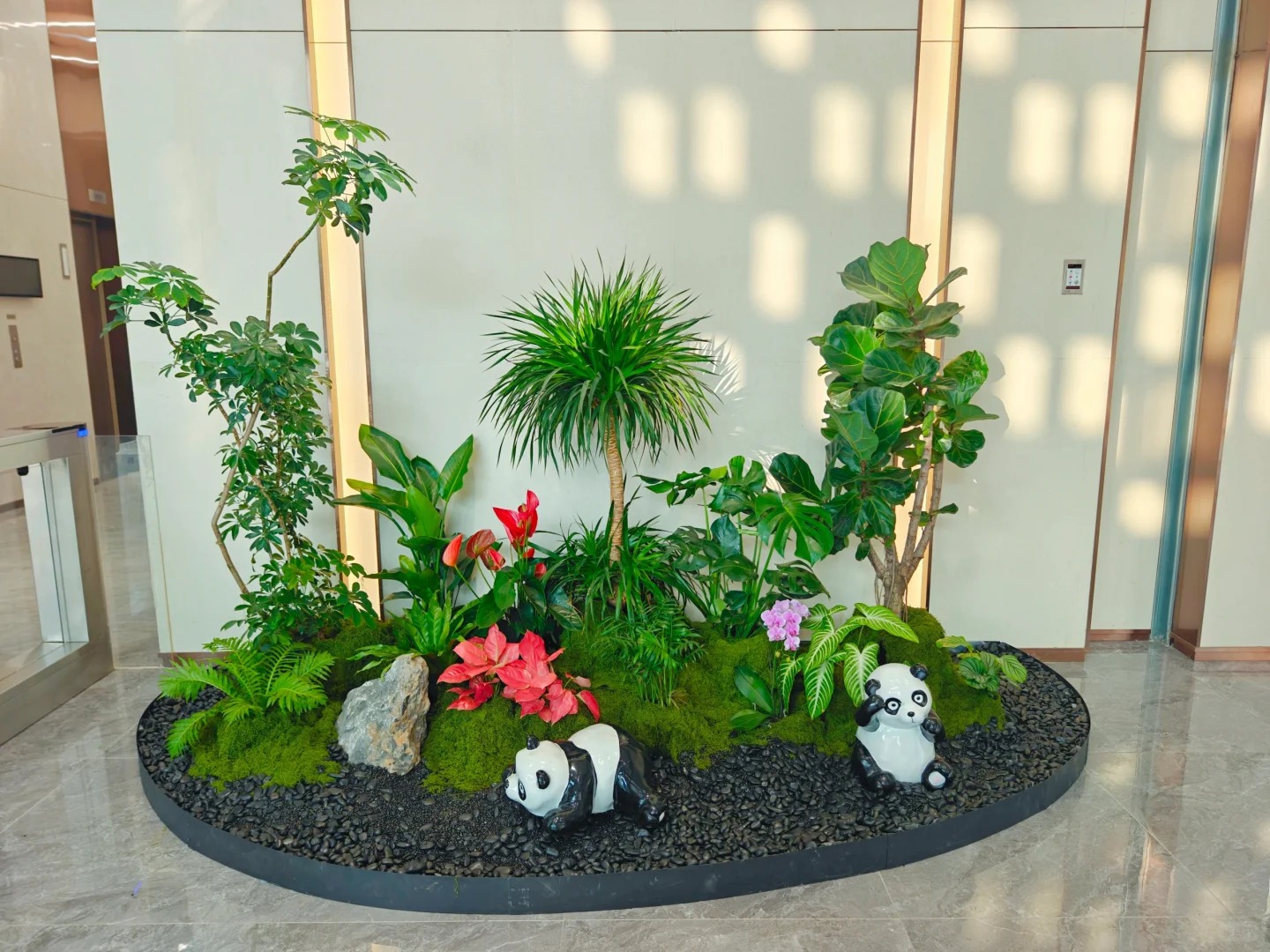 价格实惠的盆景租摆，就在宁波北仑！