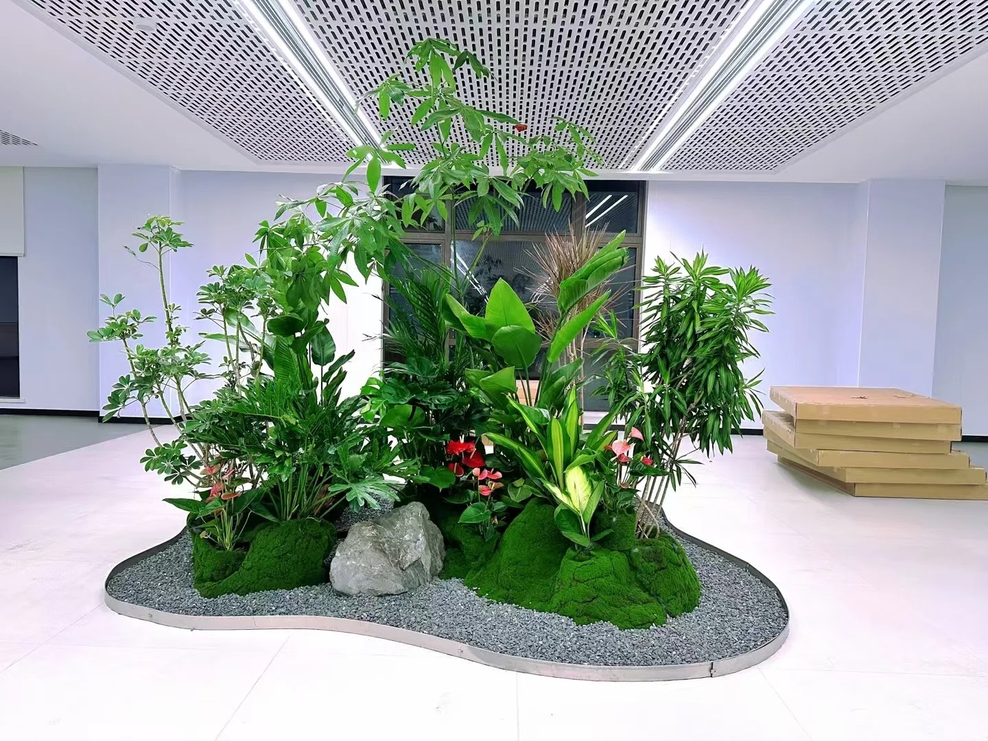 了解宁波镇海盆景出租价格，看这一篇！